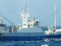 Trawler na sprzedaż