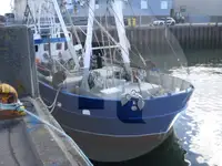 Trawler denny na sprzedaż