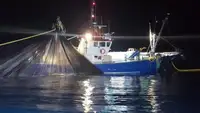 Trawler na sprzedaż