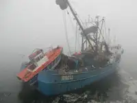 Żalotnik na sprzedaż