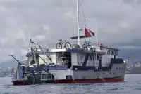 Holownik na sprzedaż