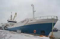 Żalotnik na sprzedaż