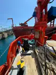 General Cargo/Multi-purpose na sprzedaż