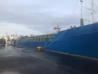 Statek transportowy ładunków sypkich na sprzedaż