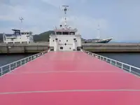 Statek transportowy ładunków sypkich na sprzedaż