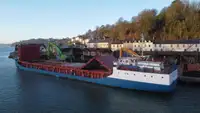 Statek transportowy ładunków sypkich na sprzedaż