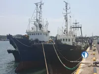 Trawler na sprzedaż