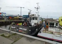 Łodzie robocze na sprzedaż
