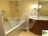 Statek wycieczkowy na sprzedaż