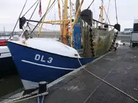 Trawler na sprzedaż