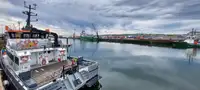 Katamaran na sprzedaż