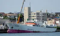 Trawler na sprzedaż
