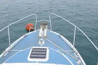 Szalu na sprzedaż
