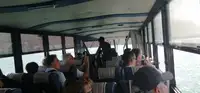 Amfibijny na sprzedaż