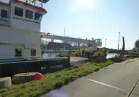 Masowiec na sprzedaż