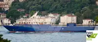 Ro-Ro ship na sprzedaż