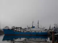 Statek transportowy ładunków sypkich na sprzedaż