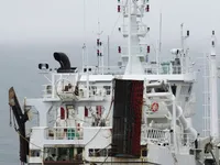 Trawler na sprzedaż