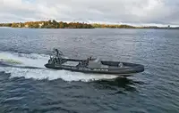 Sztywna ponton na sprzedaż