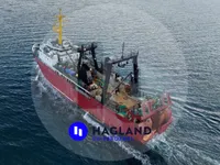 Duży trawler mrożący na sprzedaż