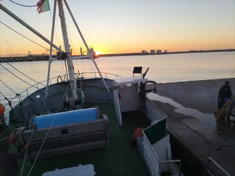 Trawler na sprzedaż