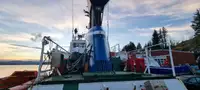 Holownik na sprzedaż
