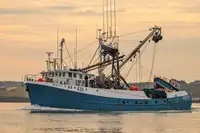 Purse seiner na sprzedaż