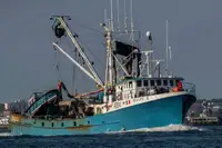 Purse seiner na sprzedaż