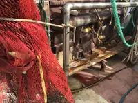 Trawler na sprzedaż
