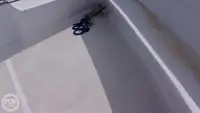 Statek do obsługi nurkowania na sprzedaż