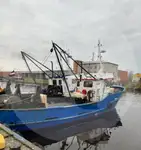 Przewoźnik żywych ryb na sprzedaż