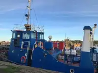 Holownik na sprzedaż