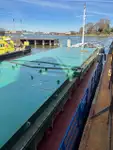 Statek transportowy ładunków sypkich na sprzedaż