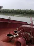 Statek transportowy ładunków sypkich na sprzedaż