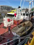 Statek transportowy ładunków sypkich na sprzedaż