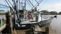 Trawler na sprzedaż