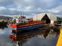 Ro-Ro ship na sprzedaż