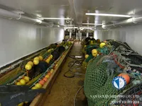 Trawler na sprzedaż