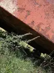 Barka na sprzedaż