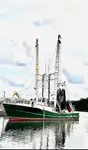 Trawler na sprzedaż