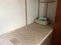Holownik na sprzedaż