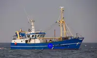 Trawler denny na sprzedaż