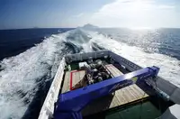 Statek transportowy ładunków sypkich na sprzedaż