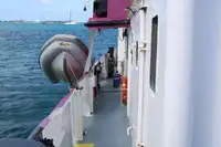 General Cargo/Multi-purpose na sprzedaż