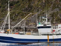 Trawler na sprzedaż