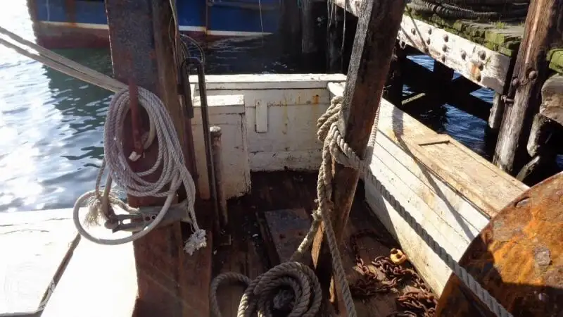 Trawler na sprzedaż