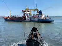 Dredger na sprzedaż