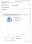 Statek Ro-Ro na sprzedaż