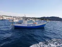 Trawler na sprzedaż