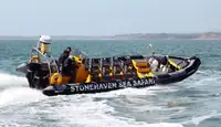 Sztywna ponton na sprzedaż